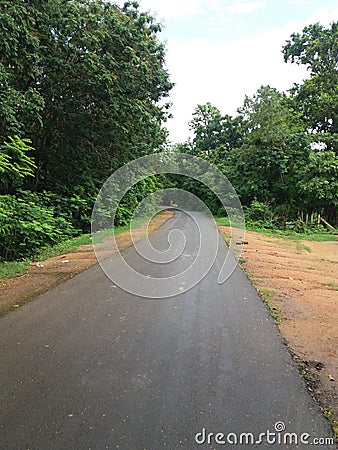 An endless path going inside a forest Stock Photo