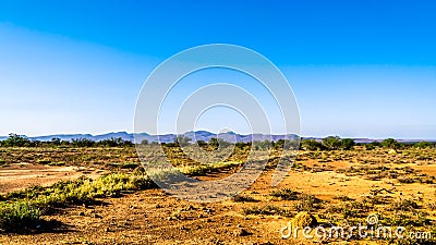 Endless wide open landscape of the semi desert Karoo Region in Free State and Eastern Cape Stock Photo