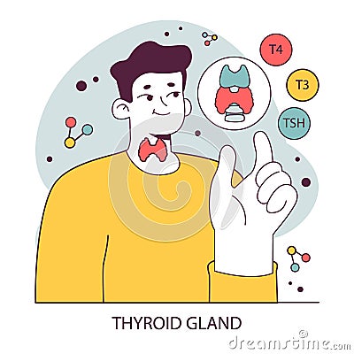 Endocrine system organ and disease. Human gland function. Thyroid Vector Illustration