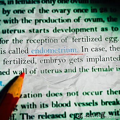 endometrium science related terminology displayed on abstract background Stock Photo