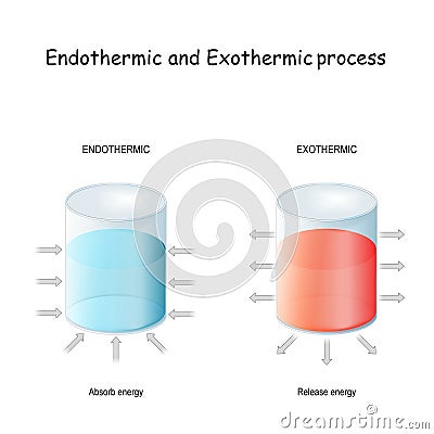 Endothermic reaction and exothermic process Vector Illustration
