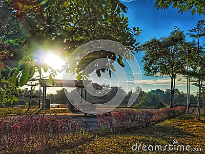 Energize morning with Sunlight Stock Photo