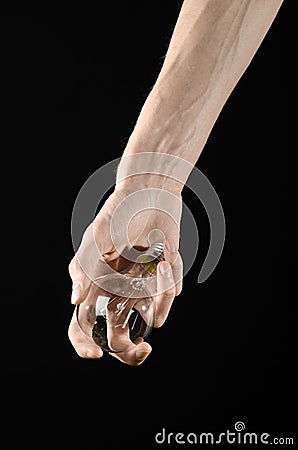 Energy consumption and energy saving topic: human hand holding a light bulb on black background in studio Stock Photo