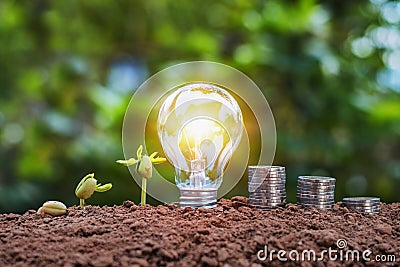 energy saving concept lightbulb with plant growing and money sta Stock Photo