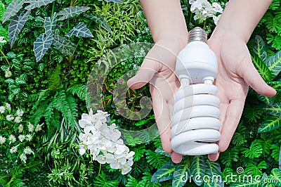 Energy saving concept, Woman hand holding light bulb on green nature background Stock Photo