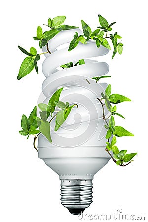 Energy saving lightbulb (light bulb) Stock Photo