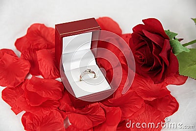 Engagement proposal with a ring a rose and red petals Stock Photo