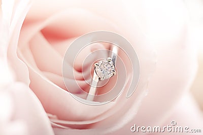 Engagement ring in pink rose Stock Photo