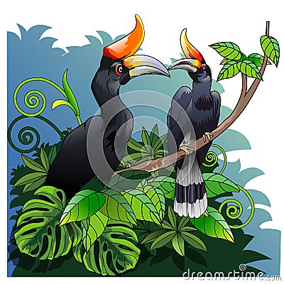 Enggang Culaor Great Rhinoceros Hornbill Vector Illustration