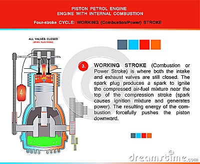 Piston engine four stroke cycle in structural cross section for education Vector Illustration