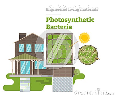 Photosynthetic Bacteria - Engineered Living Material Vector Illustration