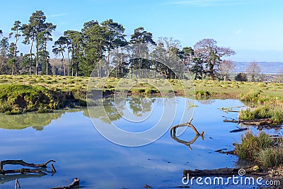 The England countryside with wetlands Stock Photo