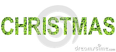 English alphabet of Christmas. made from green grass on white background for isolated Stock Photo