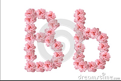 English alphabet from flowers of pink roses, letter B Stock Photo