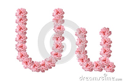 English alphabet from flowers of pink roses, letter U Stock Photo