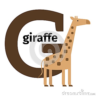 English animals zoo alphabet letter G Vector Illustration