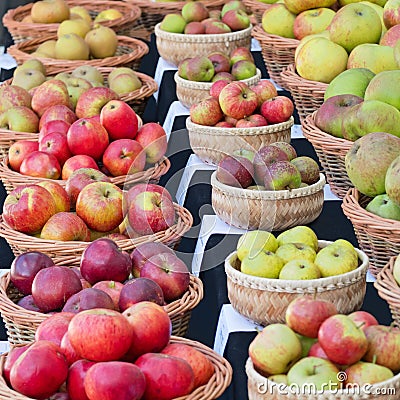 English apples on show in autumn Stock Photo