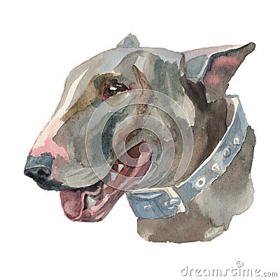 The english bull terrier watercolor hand painted Stock Photo
