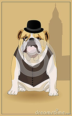 English Bulldog Vector Illustration