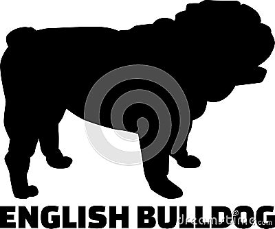 English Bulldog silhouette Vector Illustration