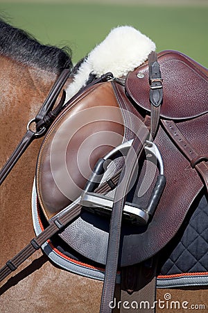 English classic riding saddle on a brown horse Stock Photo