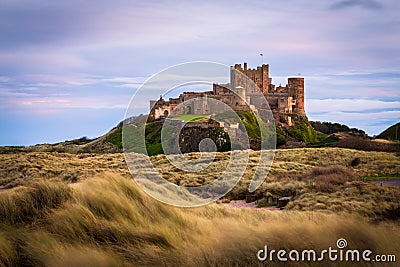 Bamburgh Castle Golden Dunes Northumberland Stock Photo