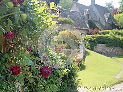 English Cottage Garden with roses Stock Photo