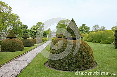 An English country garden with rounded topiary bushes with a conical top Stock Photo