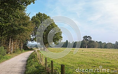 English Countryside Path Stock Photo