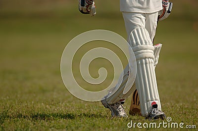 English Cricket Stock Photo