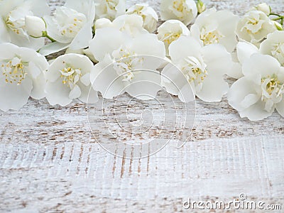 English dogwood flowers Stock Photo