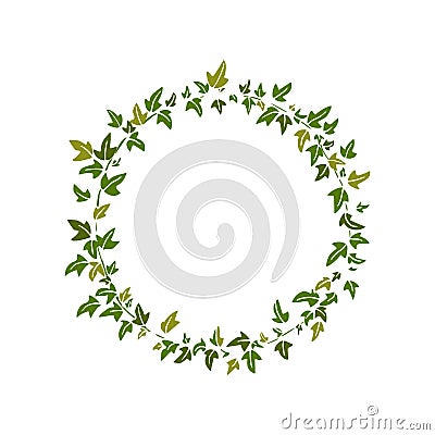 English ivy wreath Vector Illustration