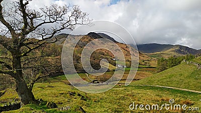 English lake District landscape in spring Stock Photo