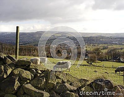 English landscape Stock Photo