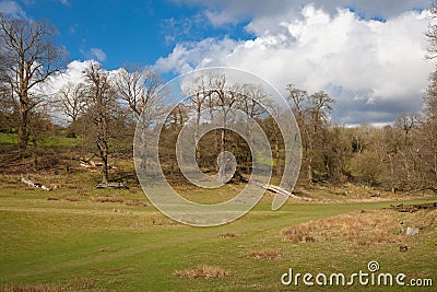 English landscape, forest and fields in spring. Sussex Stock Photo