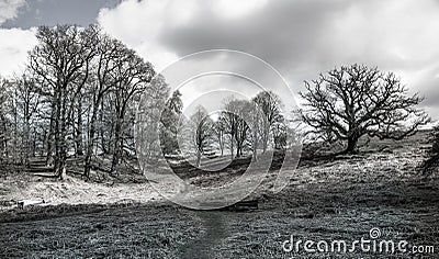 English landscape, forest and fields in spring. Sussex Stock Photo