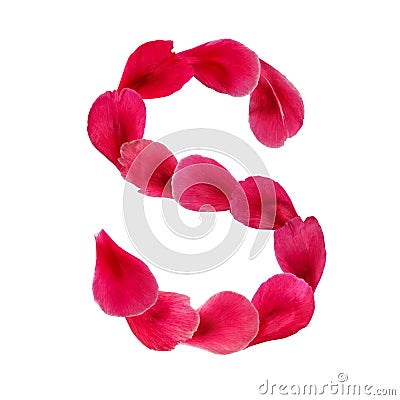 English natural floral letter S isolated on white background. The symbol of the Latin alphabet, created from bright petals of a Stock Photo