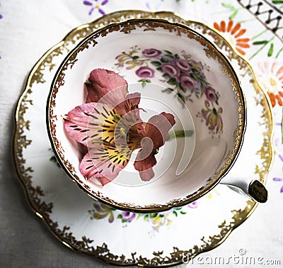 English porcelain teacup Stock Photo