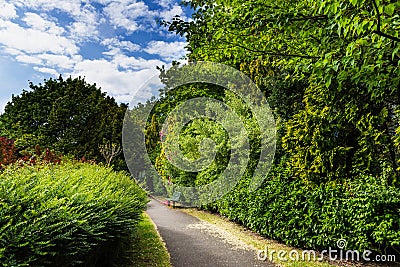 English Public Garden at late Spring with Blooming Rhododendrons Stock Photo