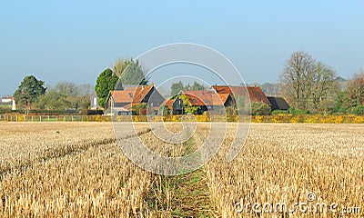 An English Rural Landscape in winter sunshine Stock Photo