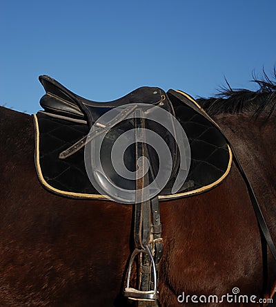 English saddle Stock Photo