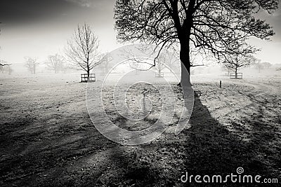 English scenic landscape in the morning Stock Photo