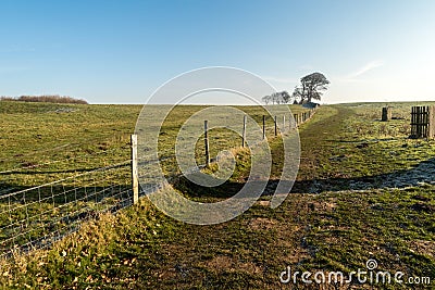 English scenic landscape in the morning at Felbrigg, Norfolk Stock Photo