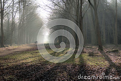 English scenic landscape in the morning at Felbrigg, Norfolk Stock Photo