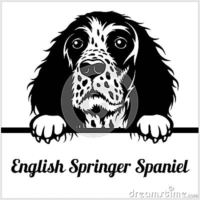 English Springer Spaniel - Peeking Dogs - - breed face head isolated on white Vector Illustration