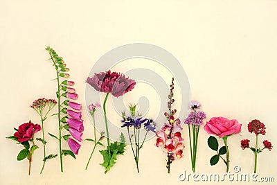 English Summer Flower and Herb Herbal Medicine Collection Stock Photo