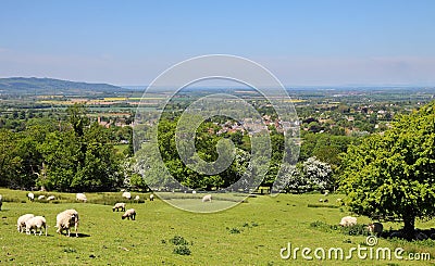 An English Summer Landscape in the Cotswolds Stock Photo