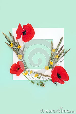 English Summer Wildflower Background Frame Stock Photo