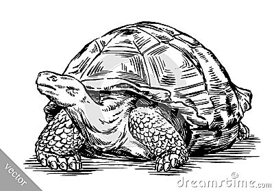 Engrave ink draw turtle illustration Vector Illustration