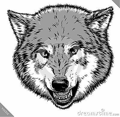 Engrave isolated wolf vector illustration sketch Vector Illustration